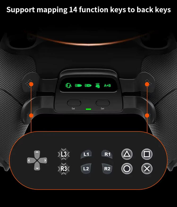 TMR Upgrade Back Paddle Combo
